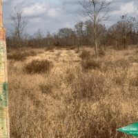 32 ac - WRP Hunting Tract - PRICE REDUCED images 5