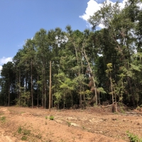 15 Acres &nbsp; Bluewater T2-14 images 3