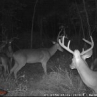65 Acres in Hinds County in Raymond  MS images 2