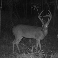 65 Acres in Hinds County in Raymond  MS images 3