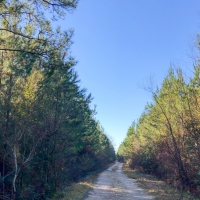 219 Acres &nbsp; FM 770 &nbsp; Tract 00166