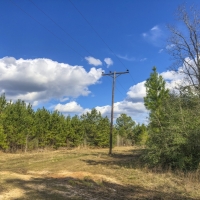 703 Acres &nbsp; Pete Garrett Road &nbsp; Tract 03039 images 5