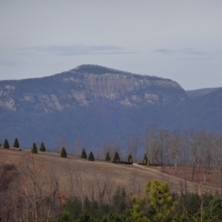 - 188.24-Acres- Rolling acreage with Majestic Mountain Views near Pickens  South Carolina images 2