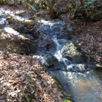 - 188.24-Acres- Rolling acreage with Majestic Mountain Views near Pickens  South Carolina images 4