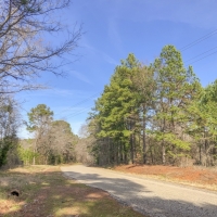 171 Acres &nbsp; CR 3111