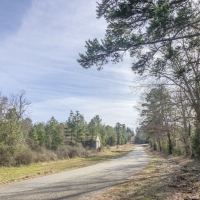 171 Acres &nbsp; CR 3111 images 6