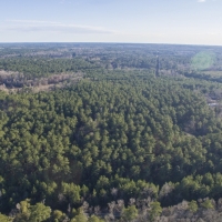 Tyler County Getaways Tract 28 images 3