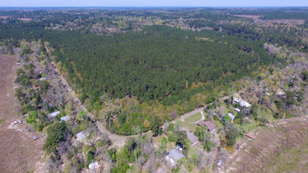 Tyler County Getaways Tract 11 featured image