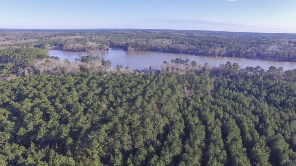 Tyler County Getaways Tract 2 featured image