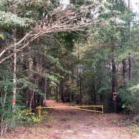 40 Ac Off Nichols Creek Rd images 3