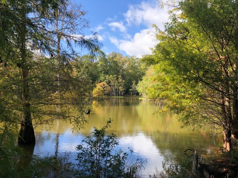 115 Ac Off PR 8090 featured image