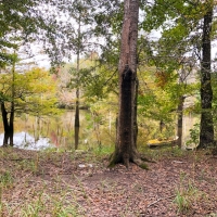 115 Ac Off PR 8090 images 2