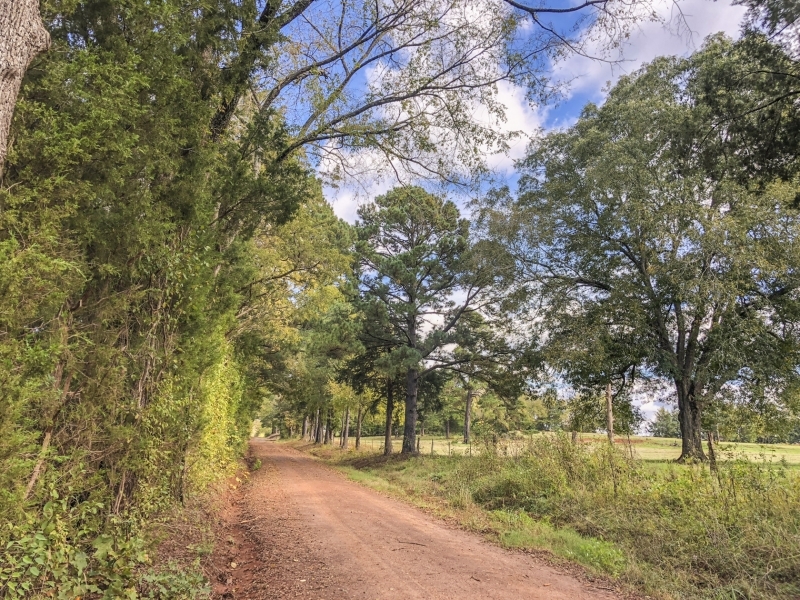 30 Acres CR 1412 featured image