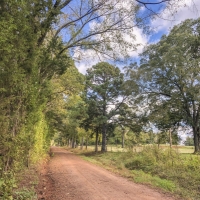 30 Acres CR 1412