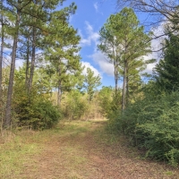 30 Acres CR 1412 images 4