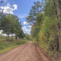 30 Acres CR 1412 images 5