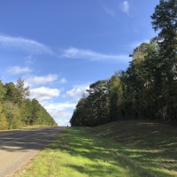 61 Acres Hwy 204 images 2