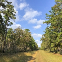 23 Ac Waterwood Estates Tr 14A images 4