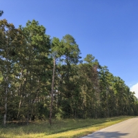 21 Ac Waterwood Estates Tr 13A