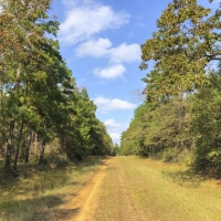 27 Ac Waterwood Estates Tr 10 images 6