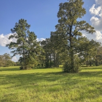 19 Ac Spring Circle Dr images 2