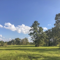 19 Ac Spring Circle Dr images 3