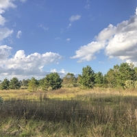 19 Ac Spring Circle Dr images 4
