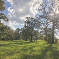 19 Ac Spring Circle Dr images 5