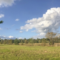 19 Ac Spring Circle Dr images 6
