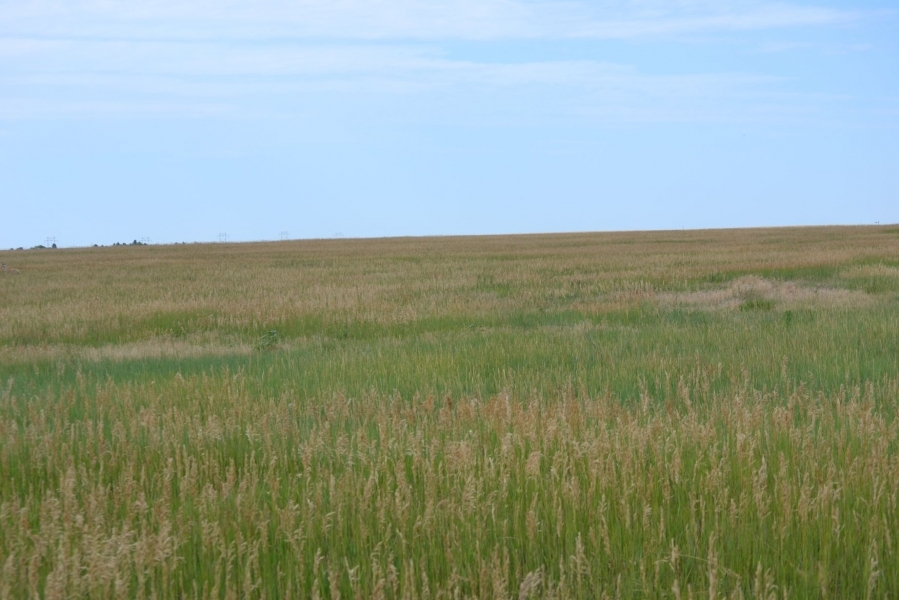 Yuma County  CO CRP Land featured image