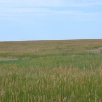 Yuma County  CO CRP Land