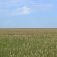 Yuma County  CO CRP Land images 2