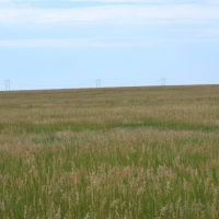 Yuma County  CO CRP Land images 4