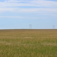 Yuma County  CO CRP Land images 5