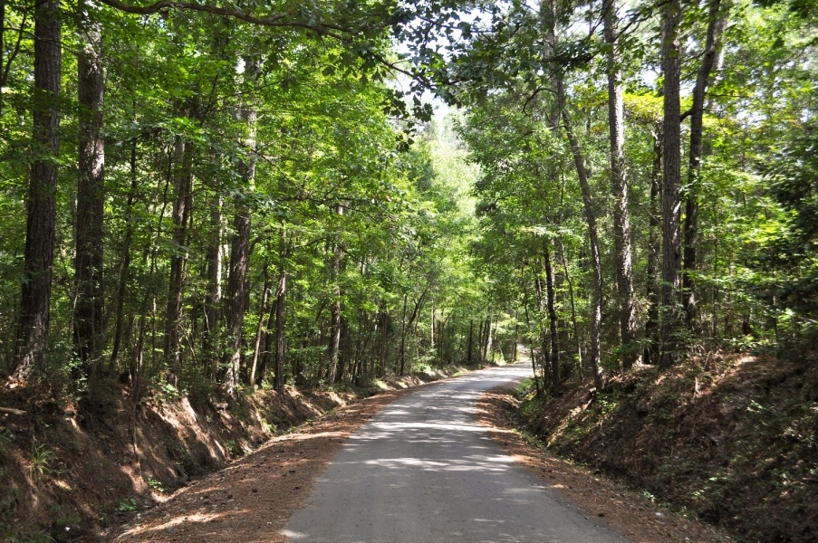 154 Acres &nbsp; Angelina County Highlight featured image