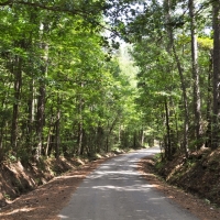 154 Acres &nbsp; Angelina County Highlight