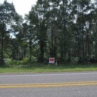154 Acres &nbsp; Angelina County Highlight images 2