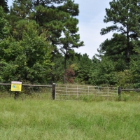 154 Acres &nbsp; Angelina County Highlight images 3