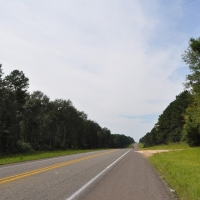 154 Acres &nbsp; Angelina County Highlight images 4