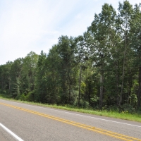 154 Acres &nbsp; Angelina County Highlight images 5