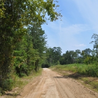 154 Acres &nbsp; Angelina County Highlight images 6