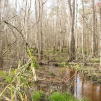 Low Falls