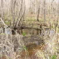 Low Falls images 2