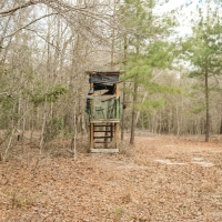 Low Falls images 3