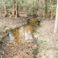 Low Falls images 6