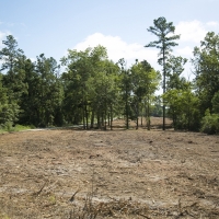 283 Ac &nbsp; Hwy 19 images 4