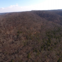 78 Acres Putnam County images 4