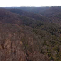 78 Acres Putnam County images 5