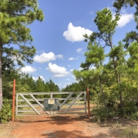 370 Acres &nbsp; Falcon &nbsp; CR 4280 images 2