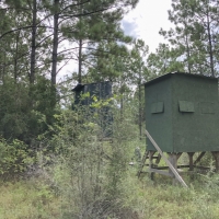 370 Acres &nbsp; Falcon &nbsp; CR 4280 images 6